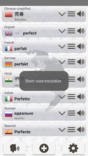 Schermata Q Multi Language Translator 3