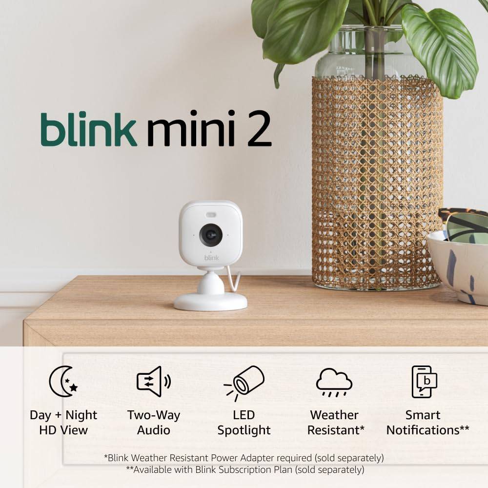 Blink Mini 2 (Newest Model)