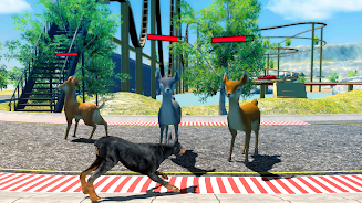 Doberman Dog Simulator स्क्रीनशॉट 1