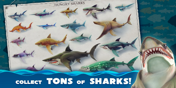 image: Hungry Shark World Pets and Equipment