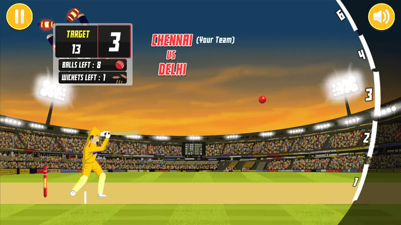 City Cricket Game Скриншот 1