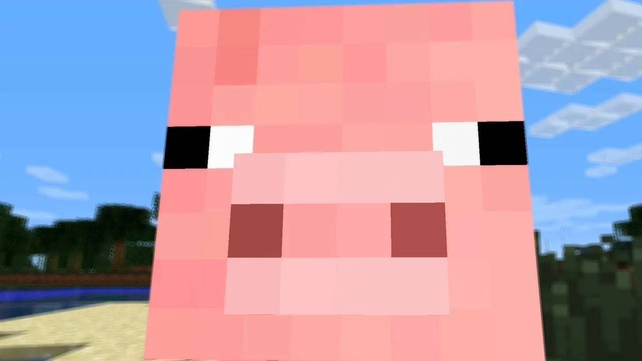 Wo findet Schweine Minecraft