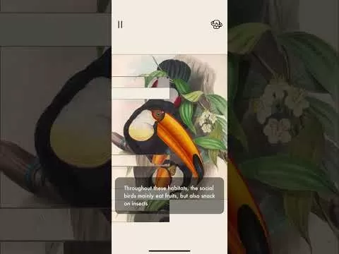 YT