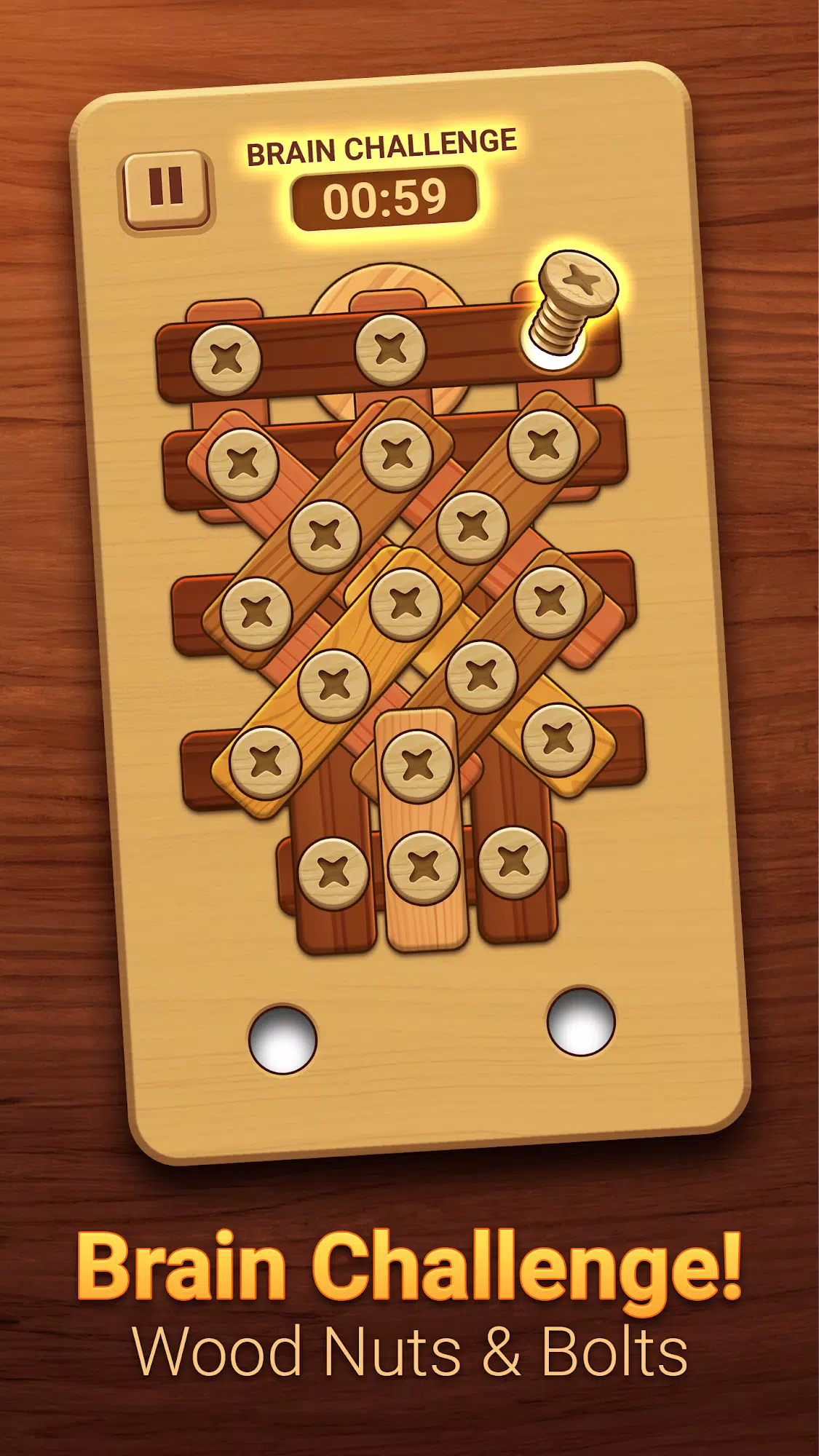 Woodle - Wood Screw Puzzle ဖန်သားပြင်ဓာတ်ပုံ 2