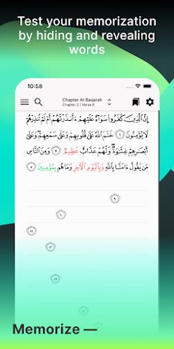 Tarteel: Quran Memorization應用截圖第3張