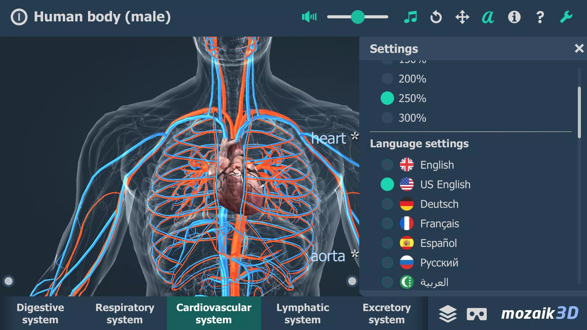 Human body (male) 3D scene Screenshot 1