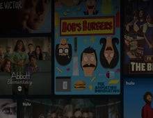 Hulu Subscriptions