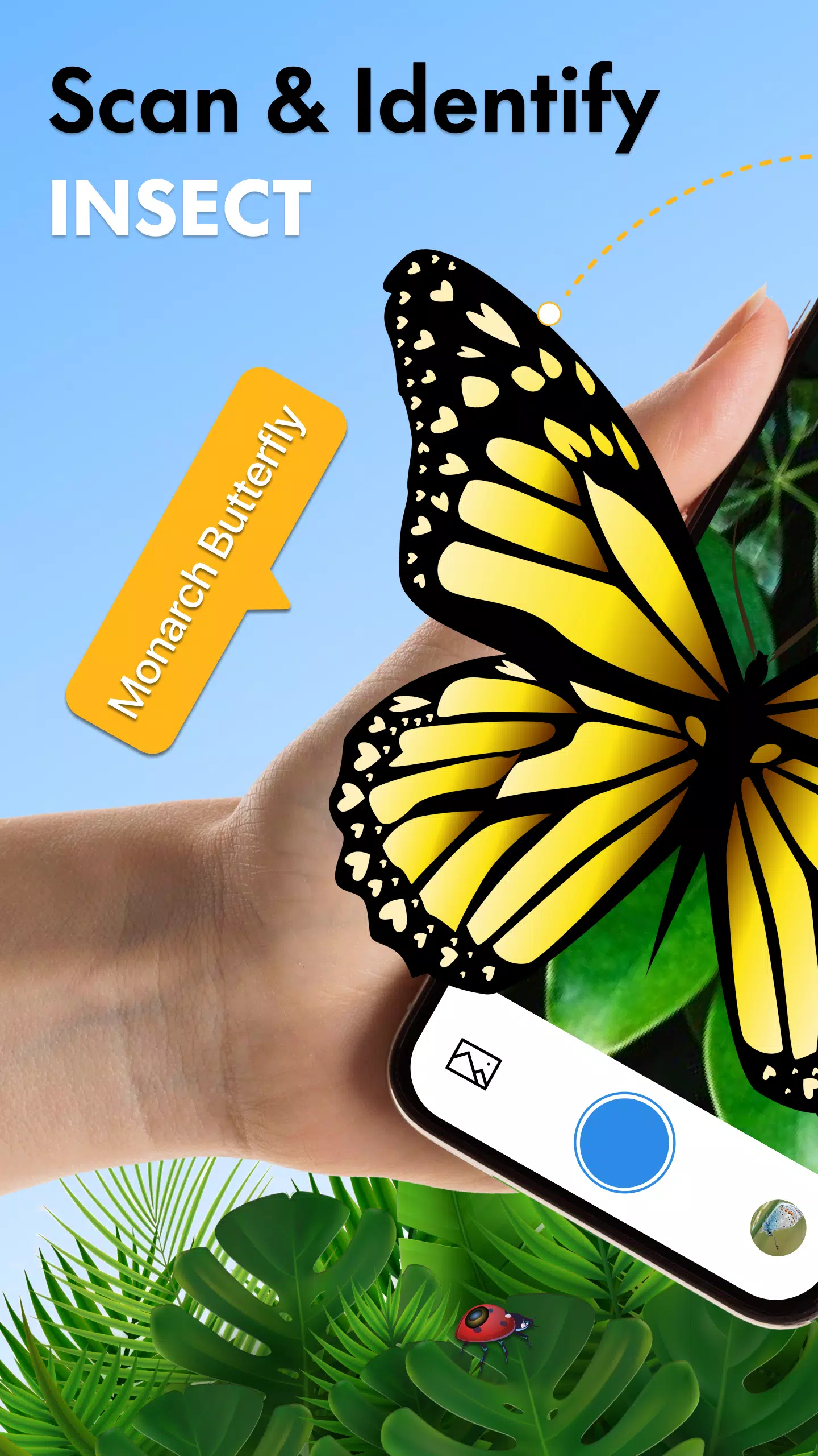 Insect Identifier Bug Identify應用截圖第0張