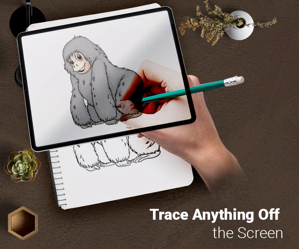 Schermata Draw : Trace & Sketch 0