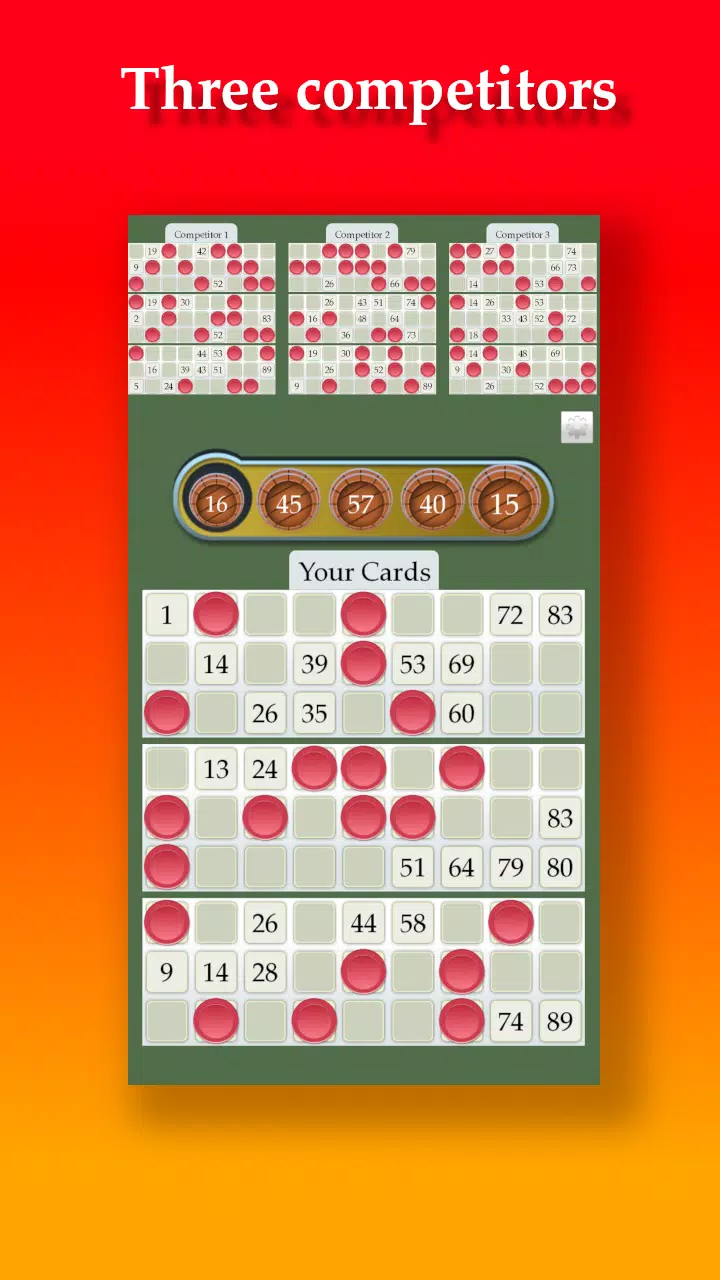 Lotto Скриншот 2