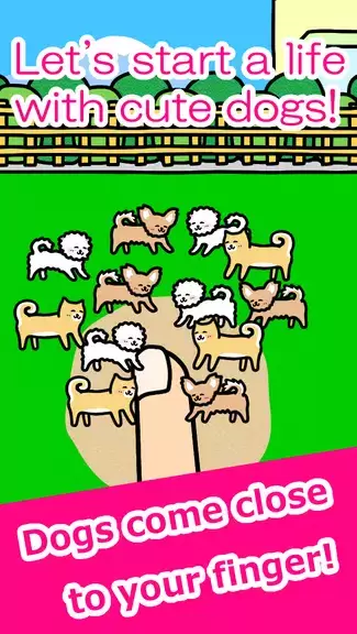 Play with Dogs - relaxing game Zrzut ekranu 0