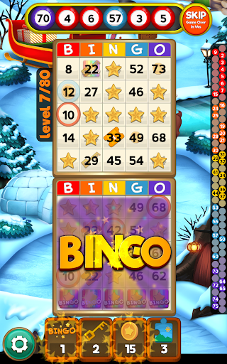 Bingo Quest Winter Garden - Christmas Adventure应用截图第1张