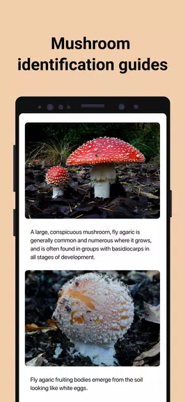 Picture Mushroom - Mushroom ID স্ক্রিনশট 3