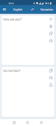 Romanian English Translator應用截圖第0張