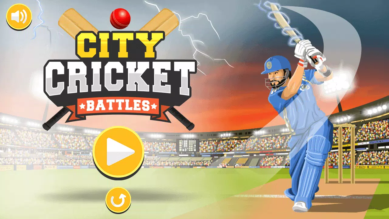 City Cricket Game Скриншот 0