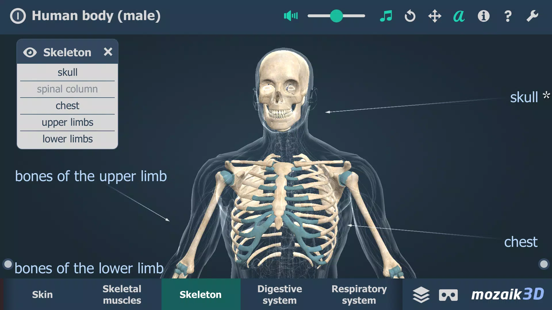 Human body (male) 3D scene Screenshot 2