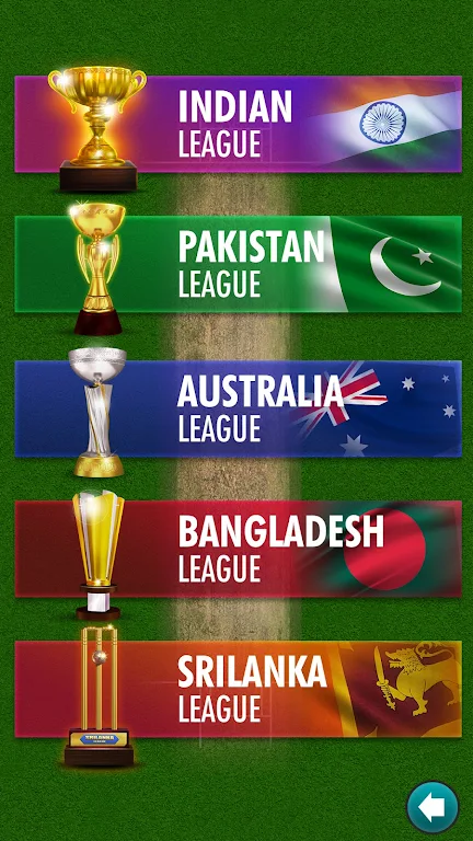 Ludo Cricket Clash™ Captura de tela 2