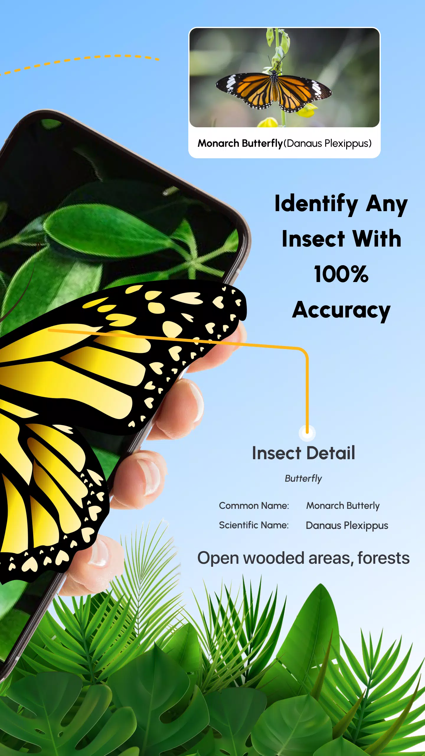 Insect Identifier Bug Identify應用截圖第1張
