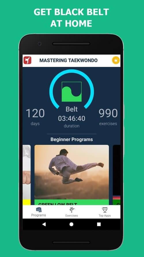 Mastering Taekwondo ：武术与自我防御應用截圖第2張