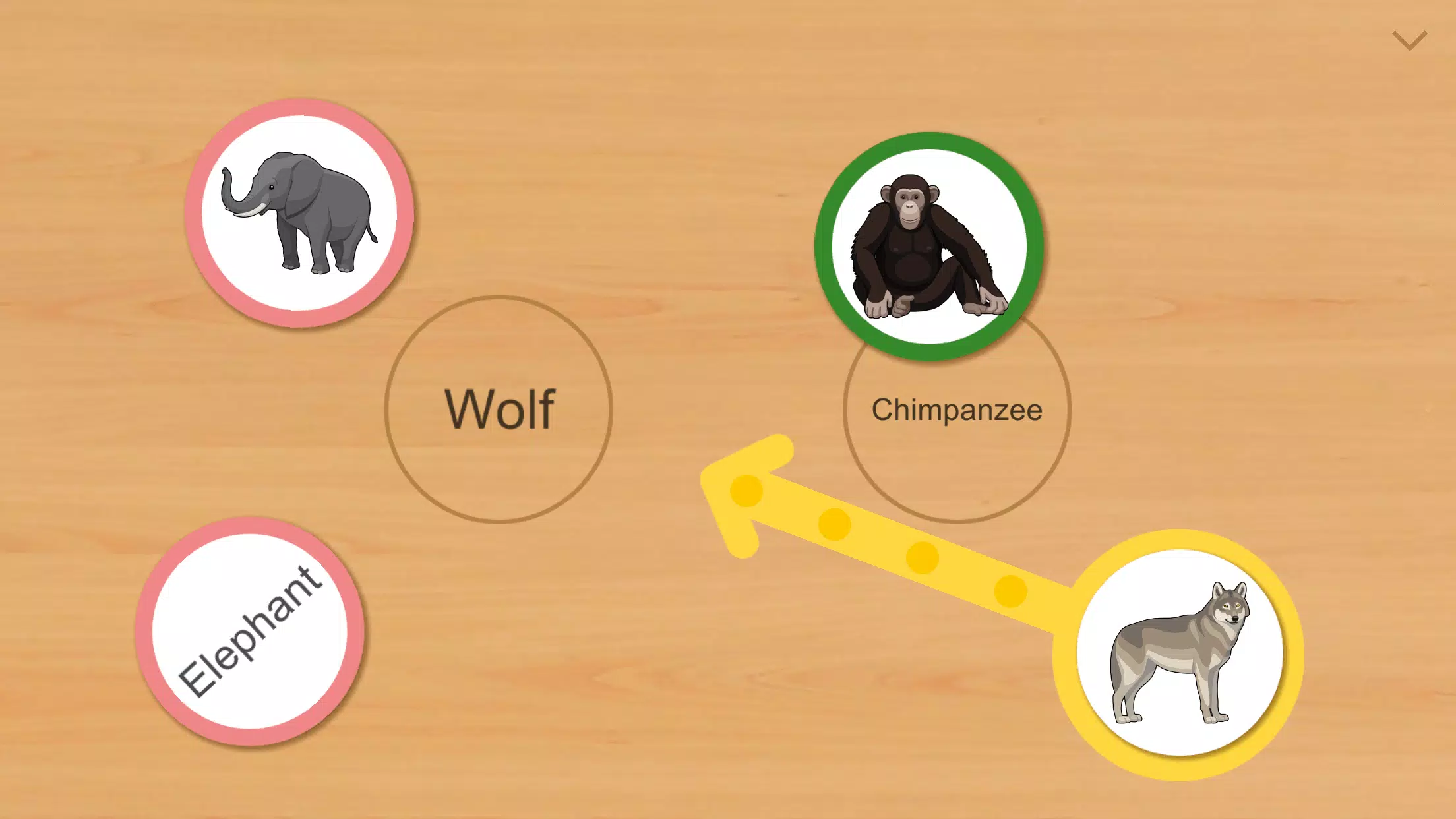 Schermata Animal Card Matching 1