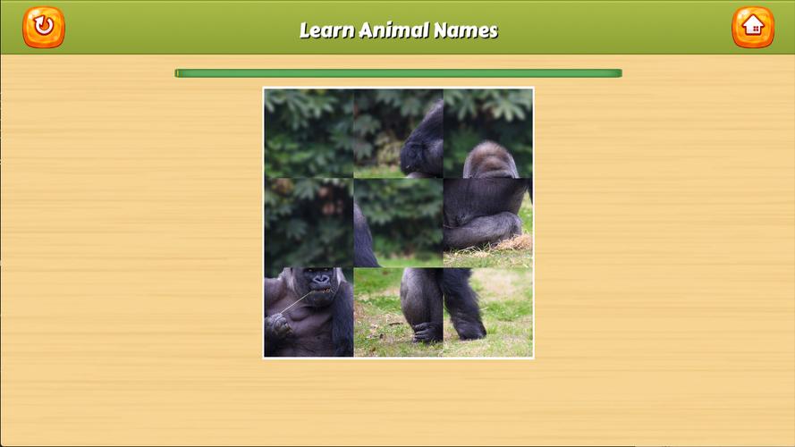 Learn Animal Names應用截圖第3張