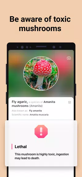 Picture Mushroom - Mushroom ID স্ক্রিনশট 2