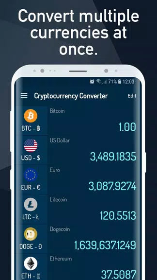 Cryptocurrency Rate Converter Ekran Görüntüsü 2