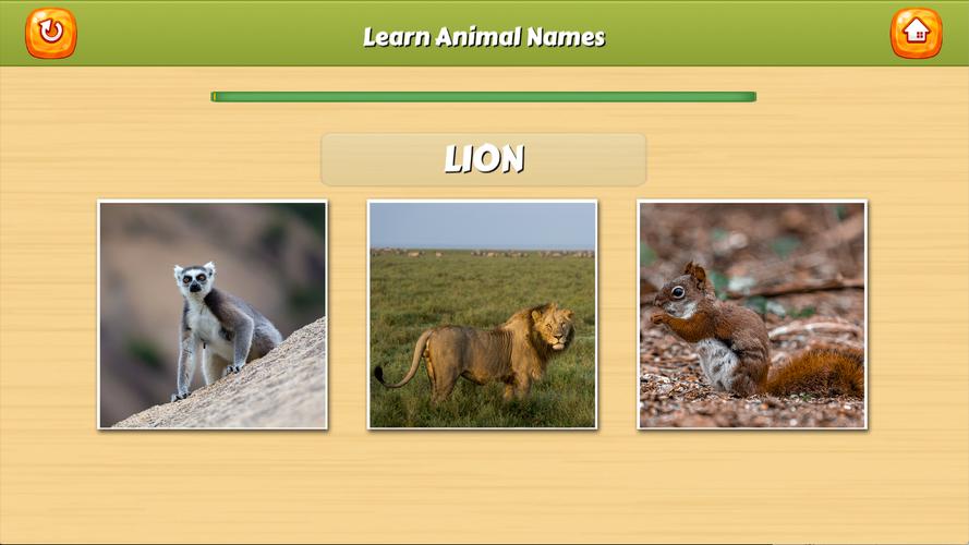 Learn Animal Names應用截圖第2張