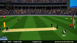 World Real IPL Cricket Games Captura de pantalla 0