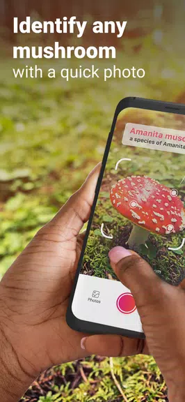 Picture Mushroom - Mushroom ID স্ক্রিনশট 0