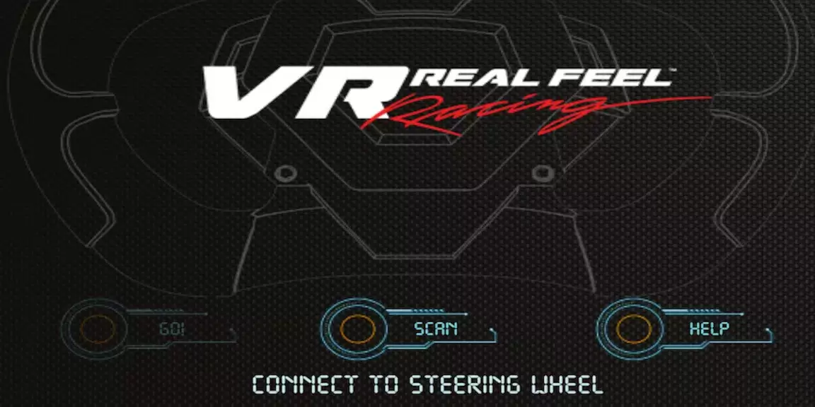 VR Real Feel Racing Captura de tela 0