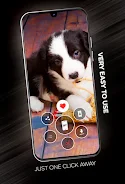 Puppies Wallpapers in 4K ภาพหน้าจอ 1