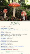 Shroomify - USA Mushroom ID Ảnh chụp màn hình 0