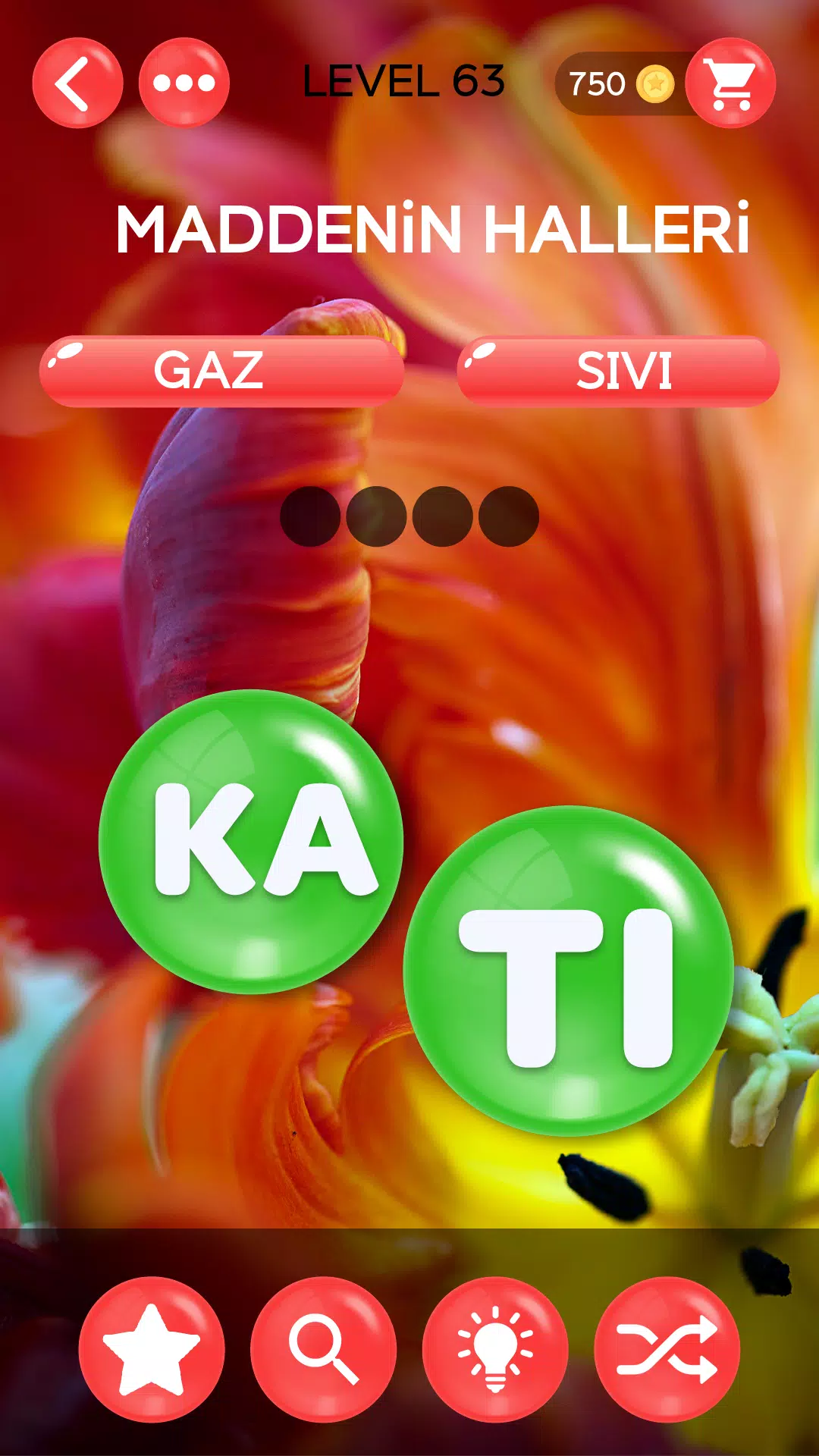 Kelime Şöleni Tangkapan skrin 3