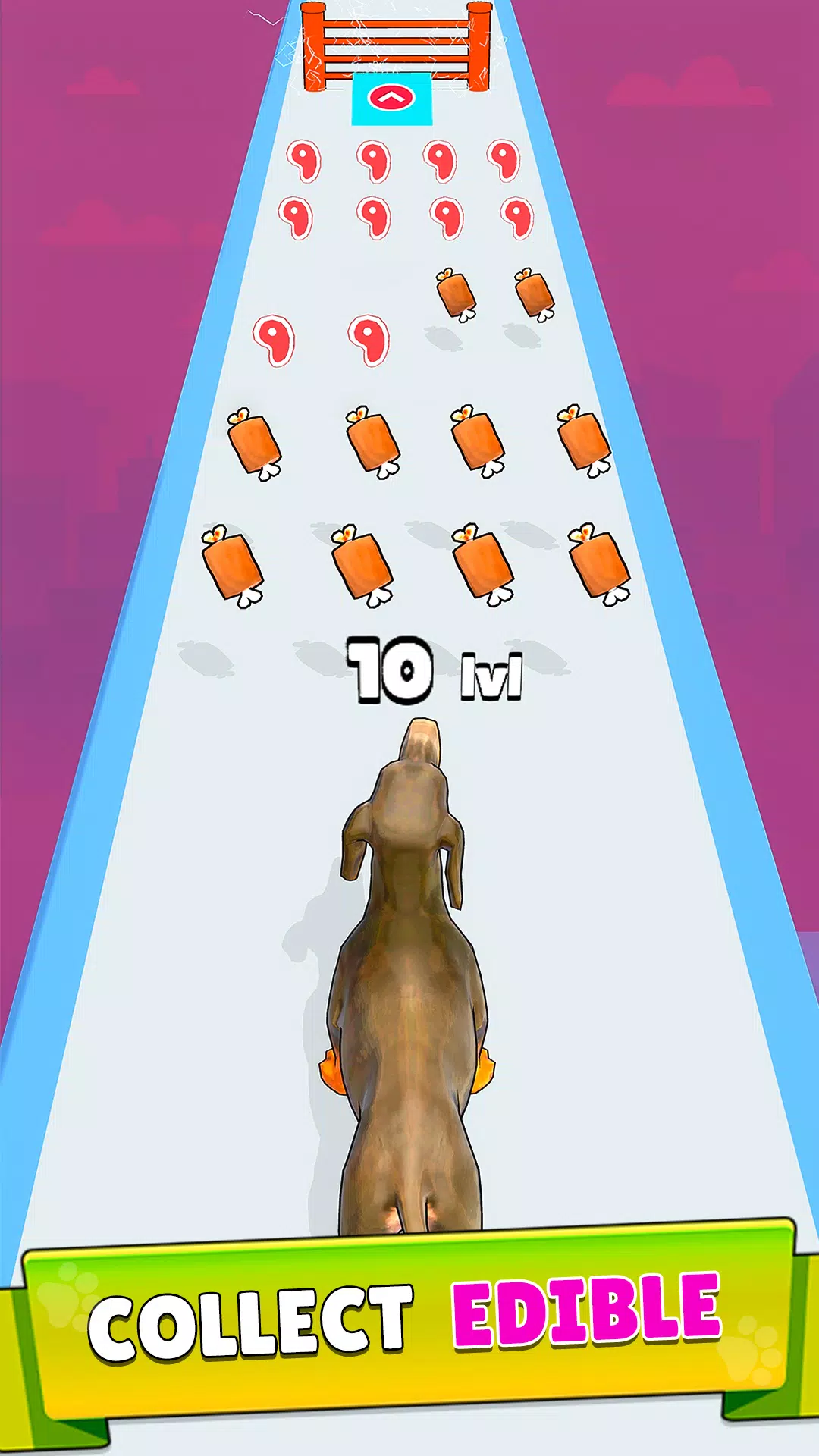 Dog Evolution Run Screenshot 2