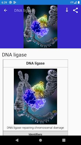 Molecular biology Screenshot 2