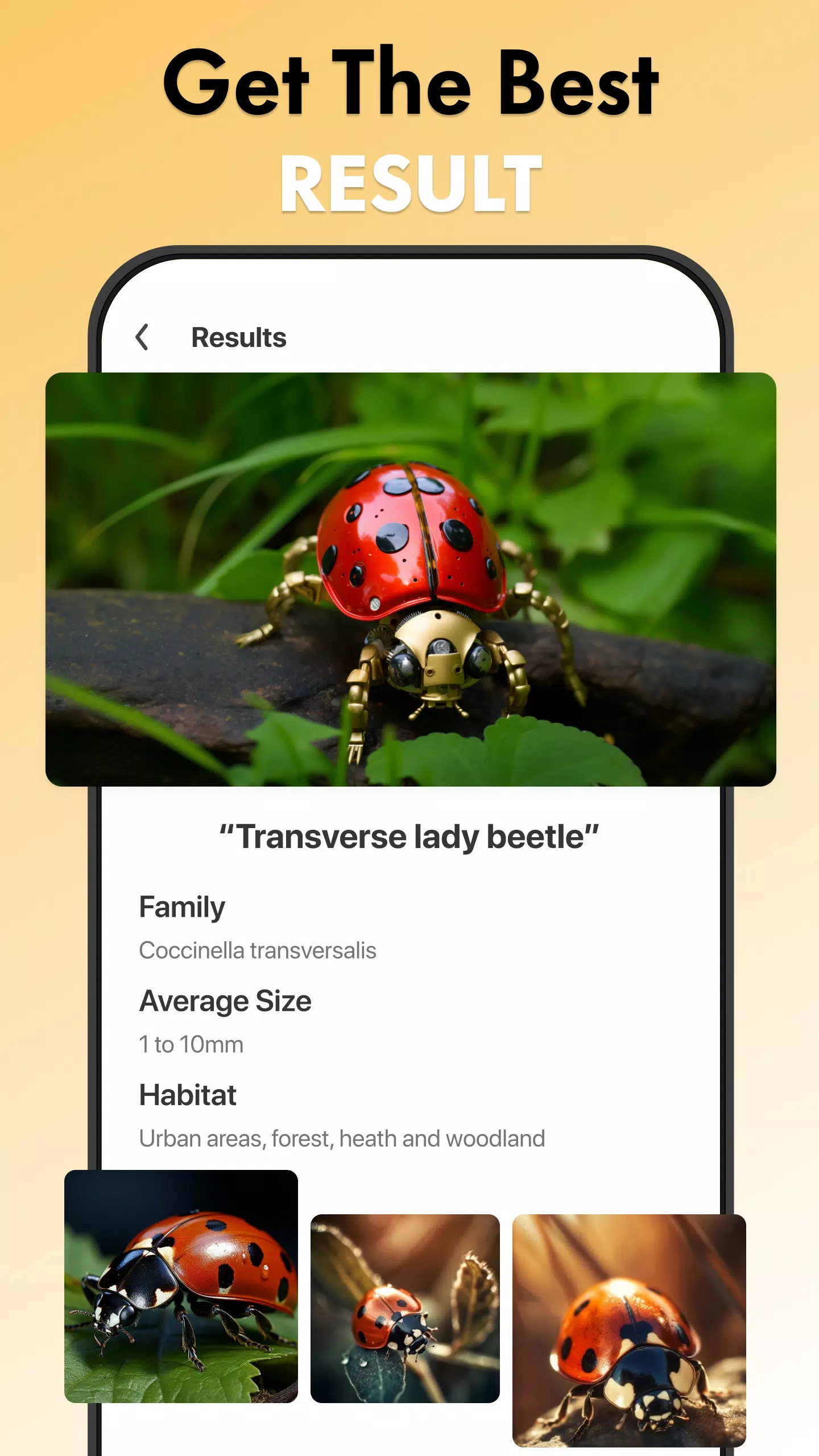Insect Identifier Bug Identify應用截圖第2張